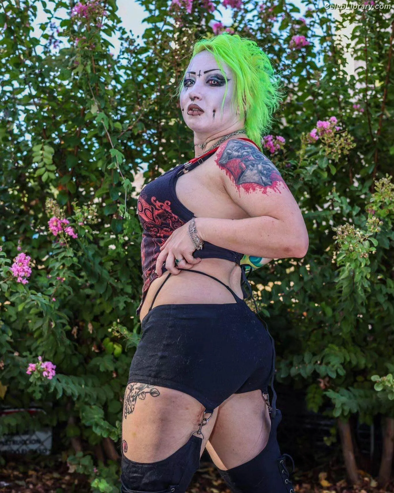 Abadon photo 2 of 576