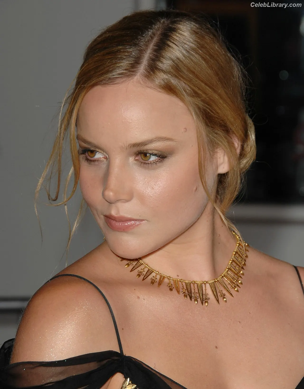 Abbie Cornish photo 8 of 183