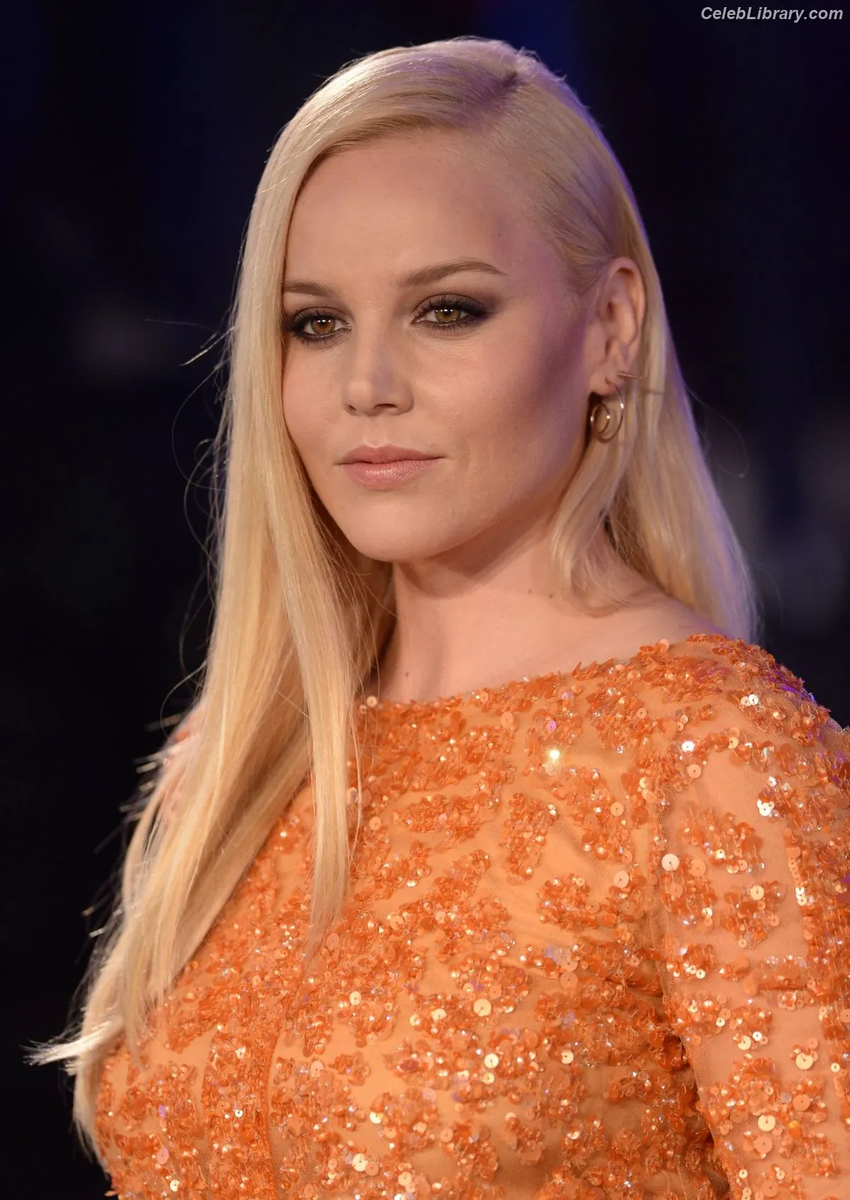 Abbie Cornish photo 7 of 183