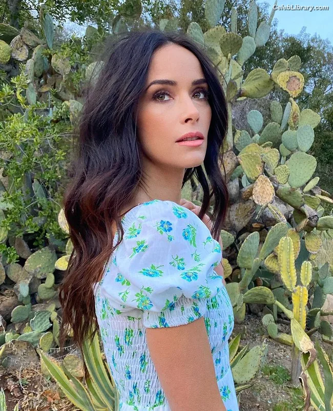 Abigail Spencer photo 6 of 244