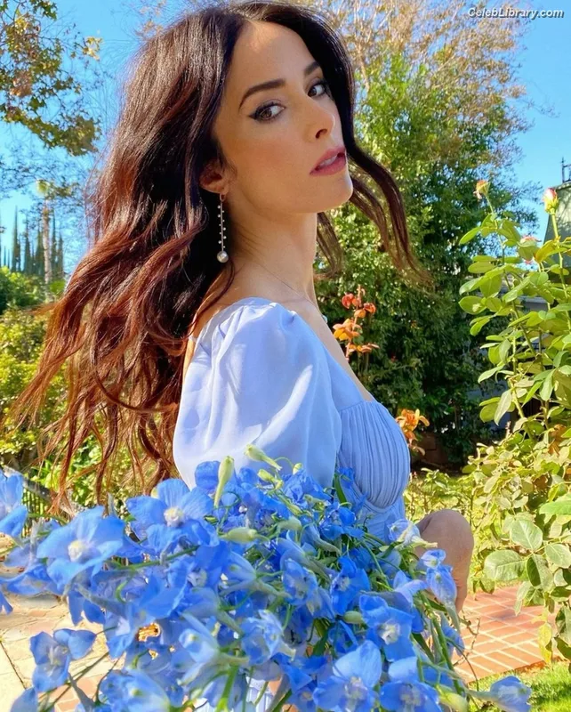 Abigail Spencer photo 10 of 244