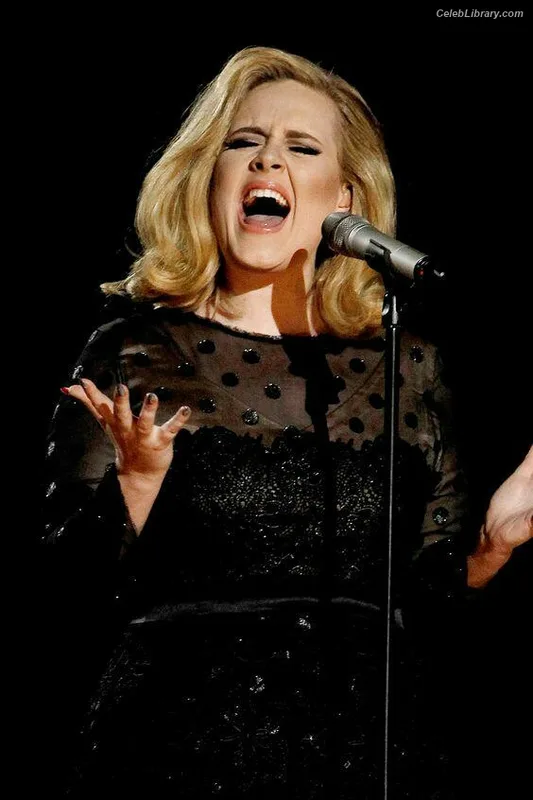 Adele photo 19 of 25