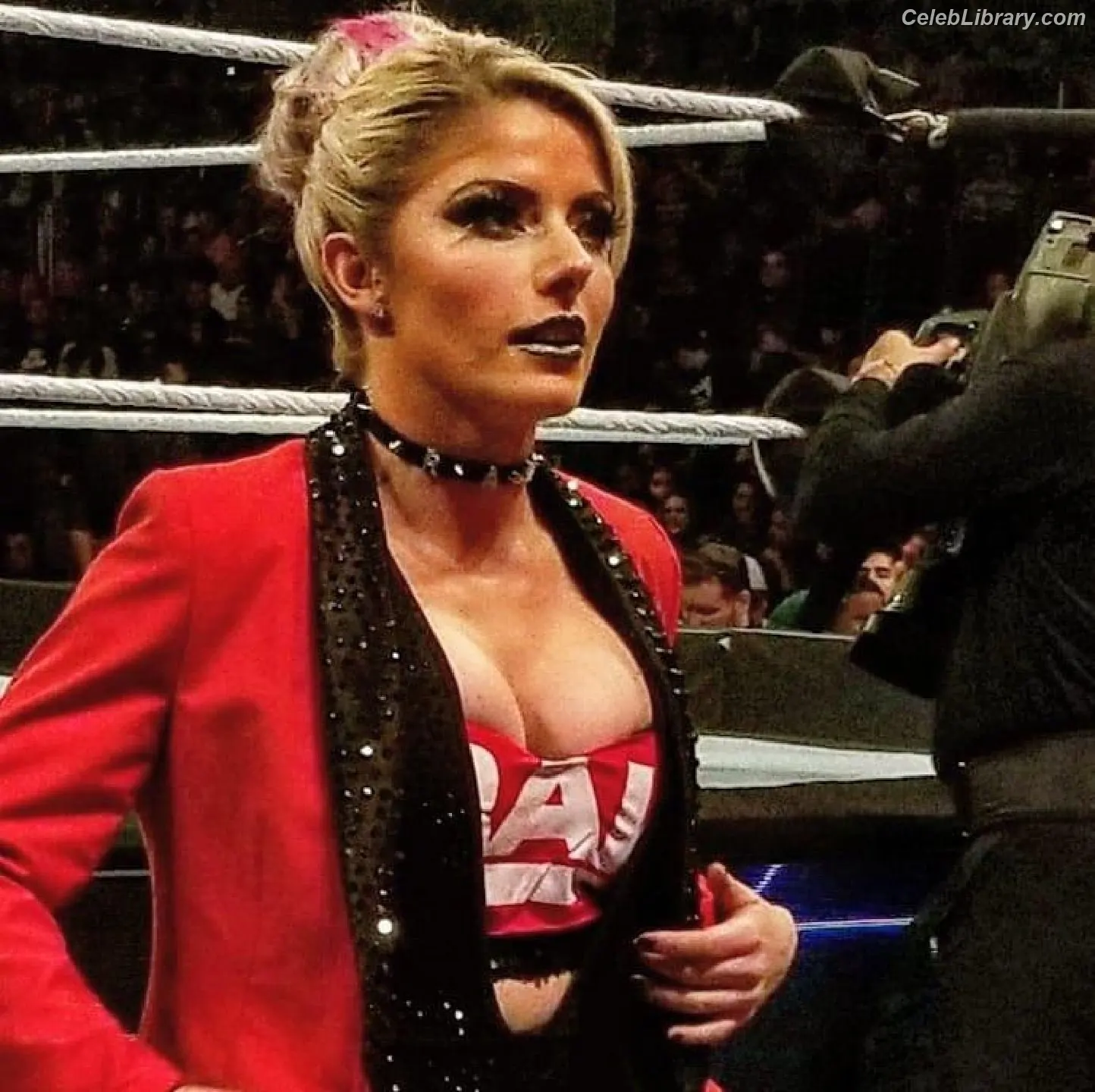 Alexa Bliss photo 15 of 937