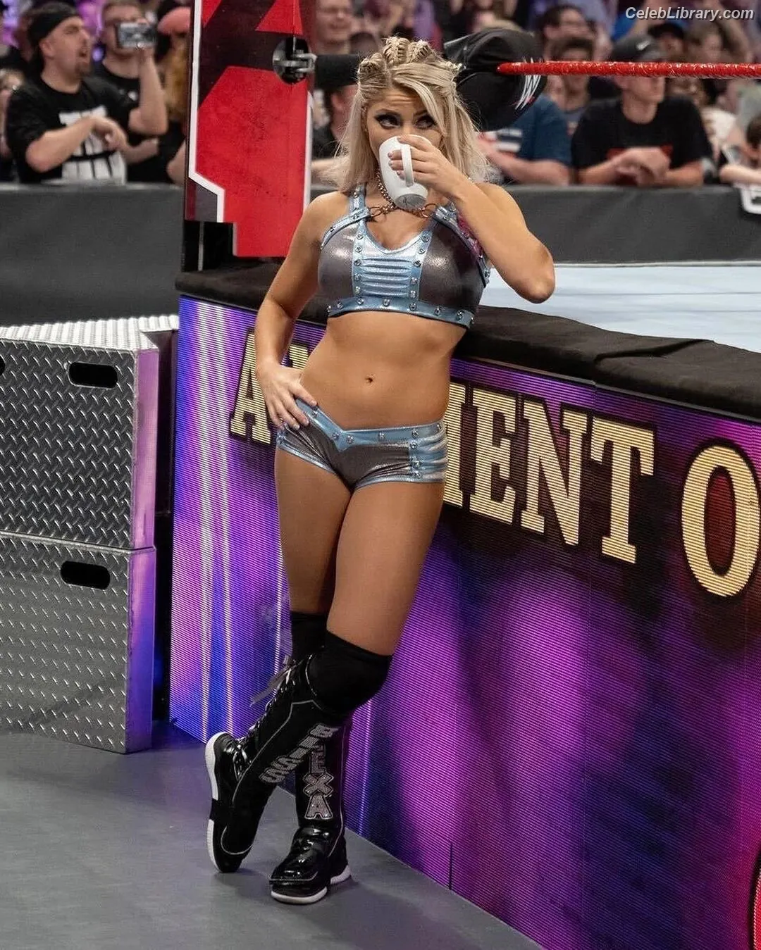 Alexa Bliss photo 12 of 937