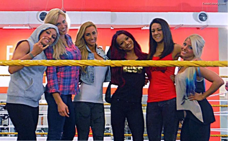 Alexa Bliss photo 22 of 938