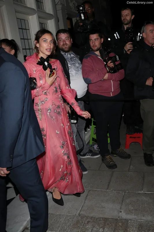 Alexa Chung photo 13 of 106