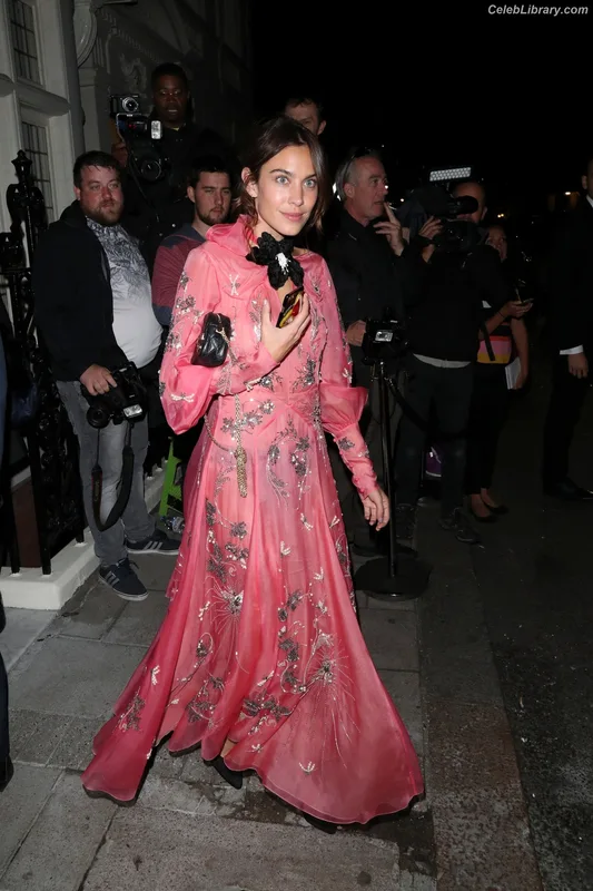 Alexa Chung photo 14 of 106