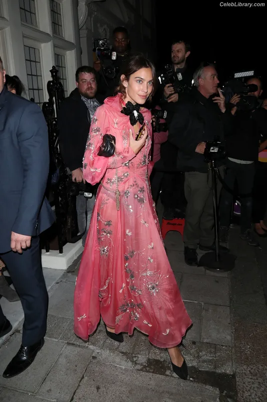 Alexa Chung photo 18 of 106