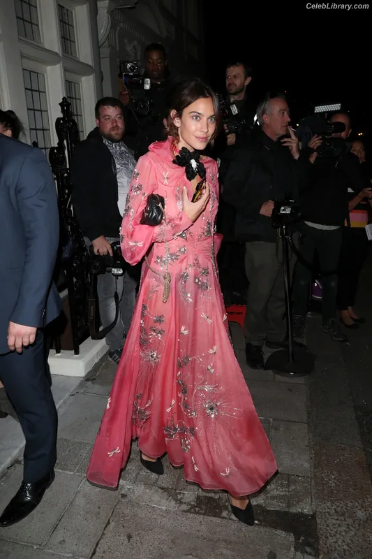 Alexa Chung photo 19 of 106