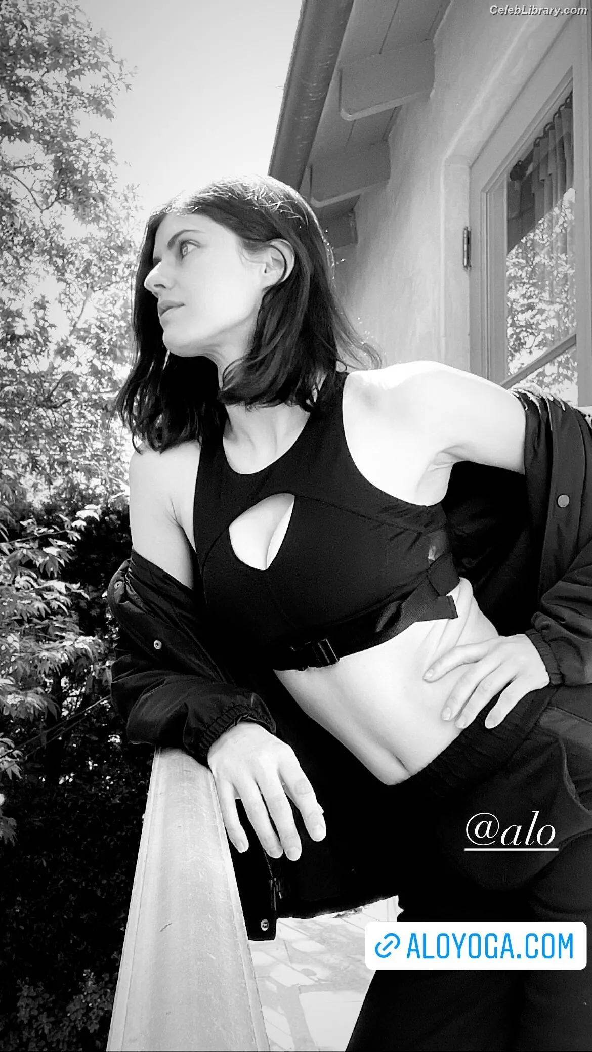 Alexandra Daddario photo 14 of 1617