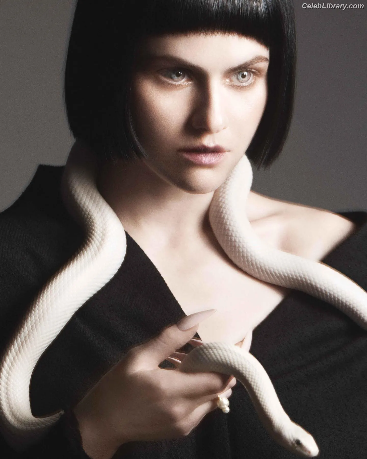Alexandra Daddario photo 3 of 1617
