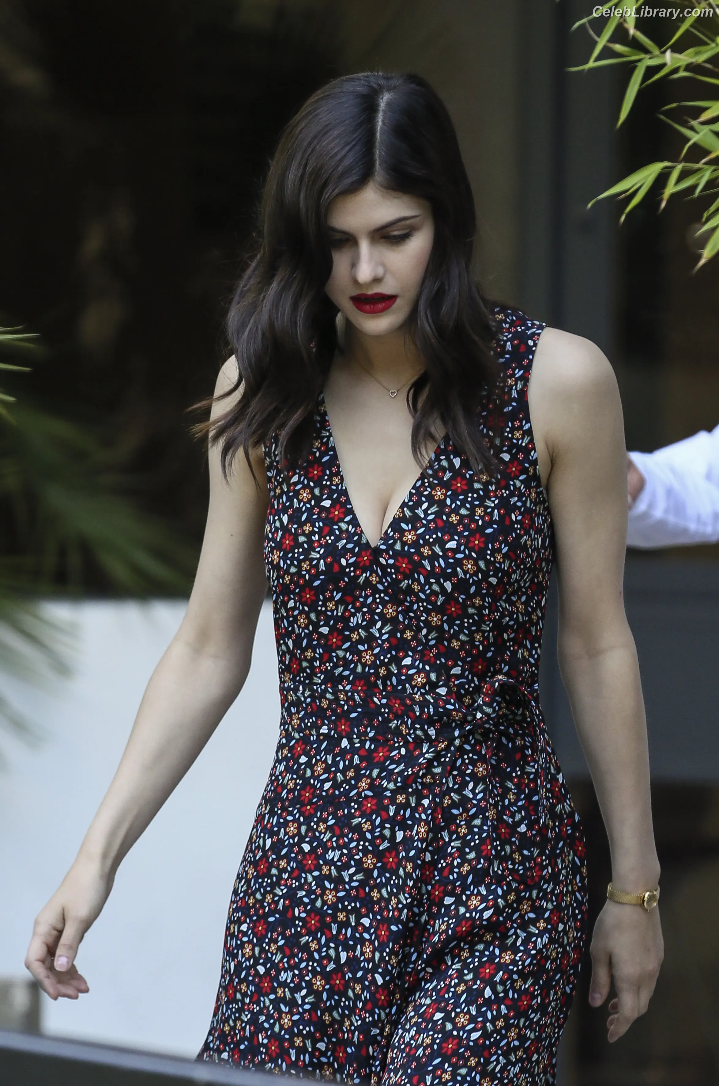 Alexandra Daddario photo 19 of 1617