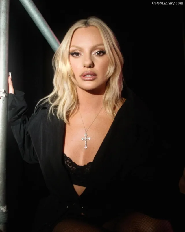 Alexandra Stan photo 13 of 1532