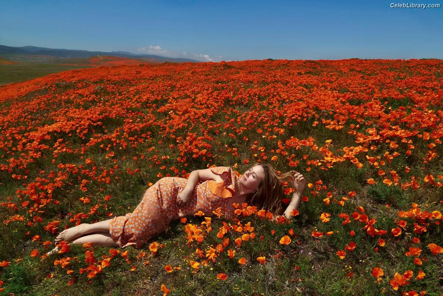 Alicia Silverstone photo 20 of 145