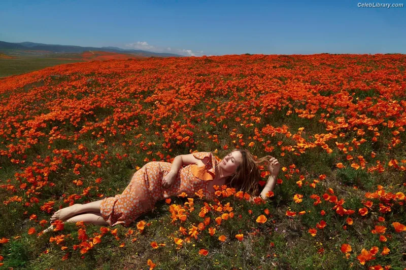 Alicia Silverstone photo 20 of 146