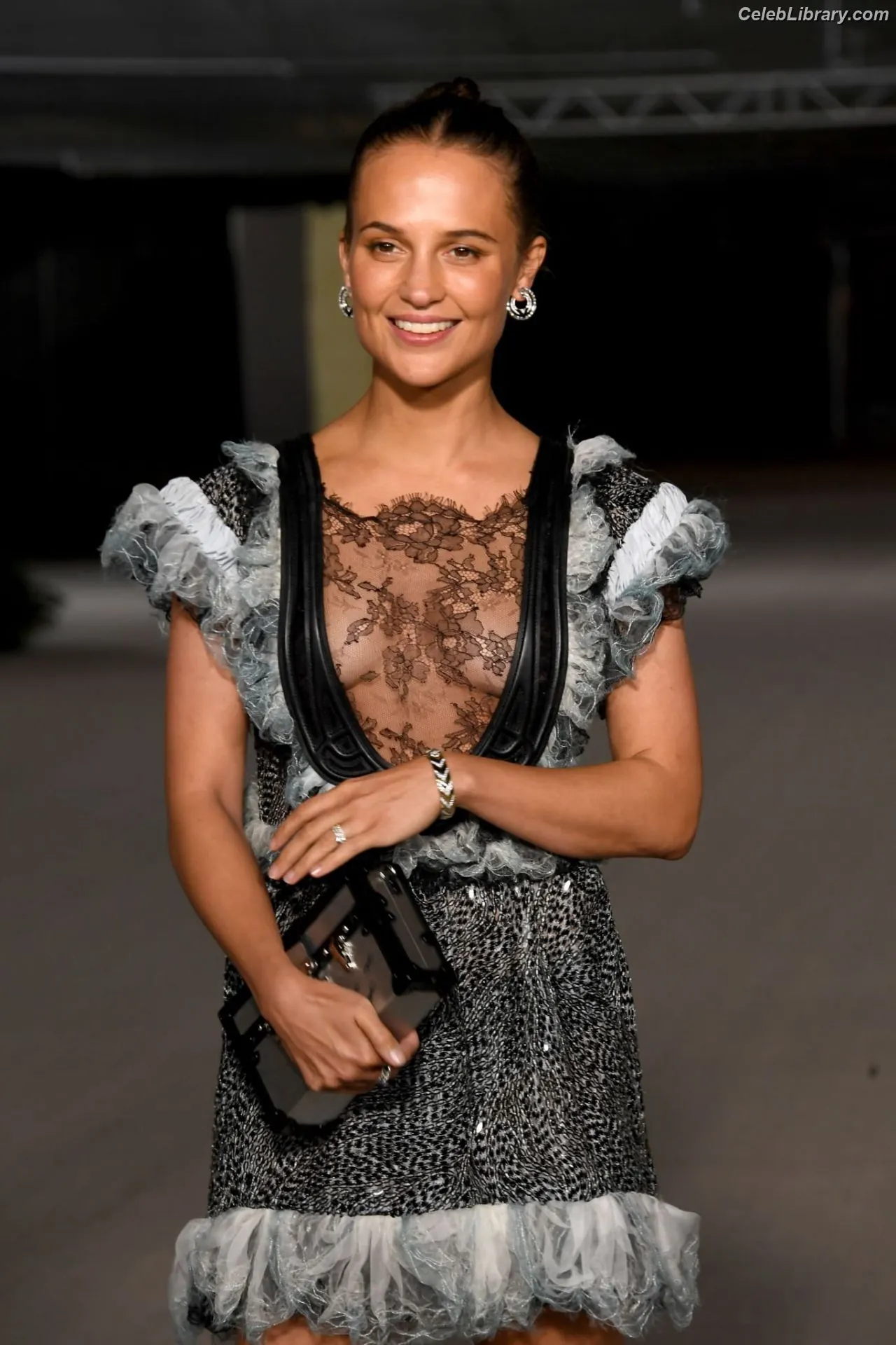 Alicia Vikander photo 5 of 440