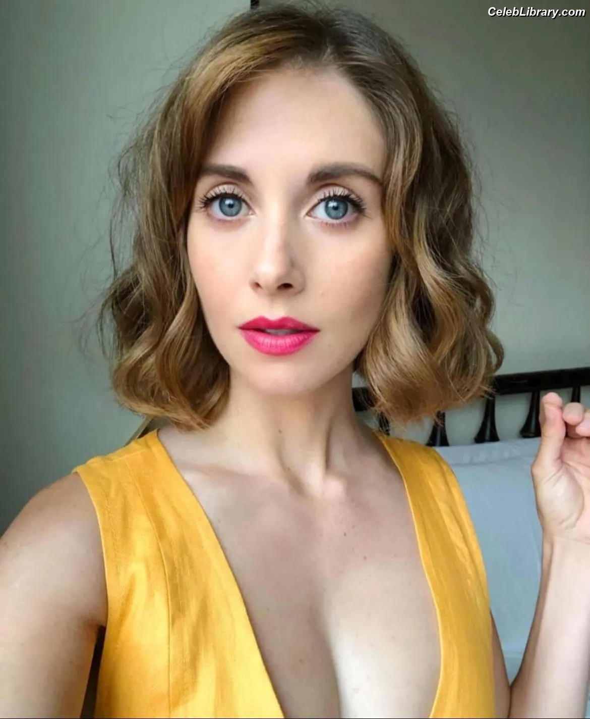 Alison Brie photo 17 of 1528