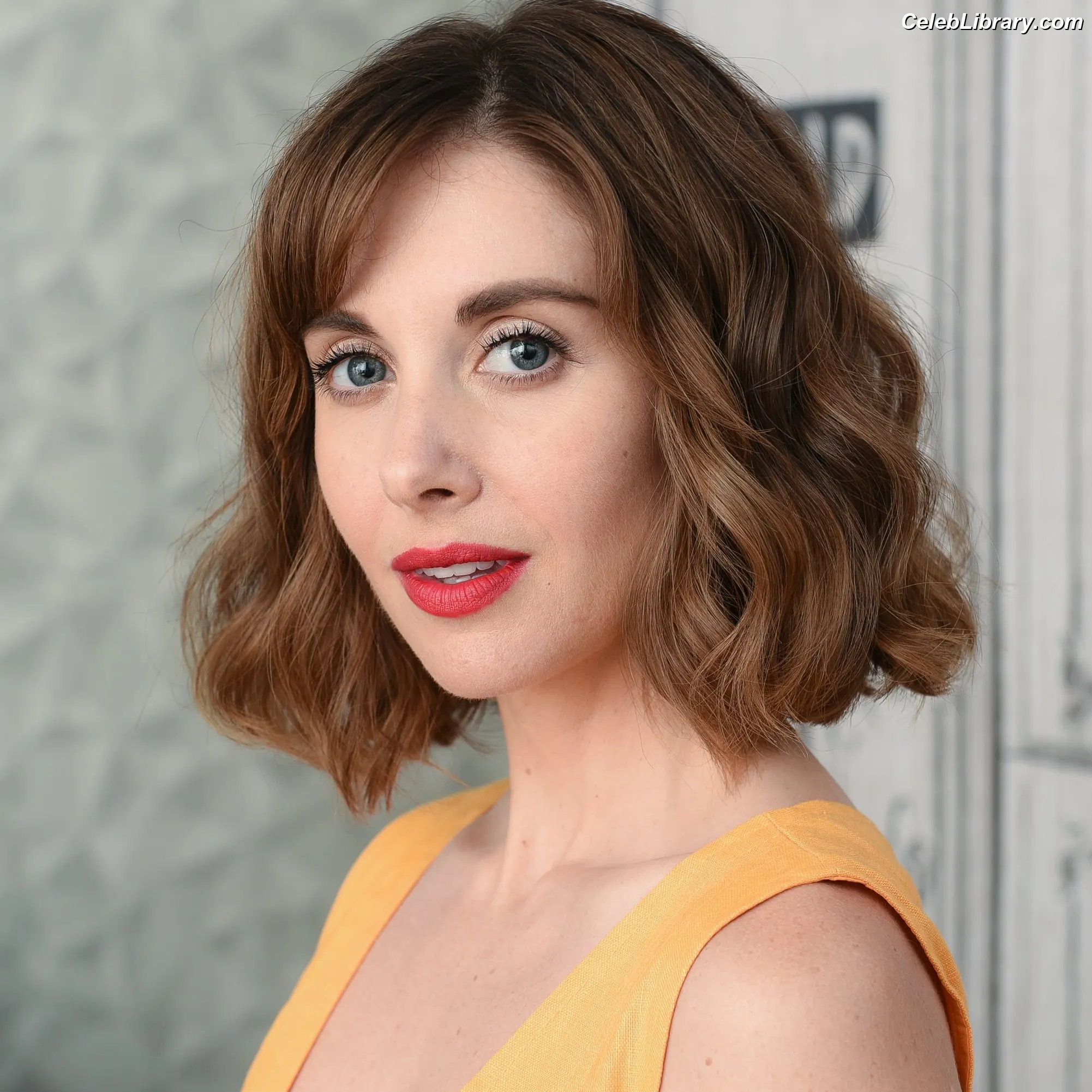 Alison Brie photo 18 of 1528