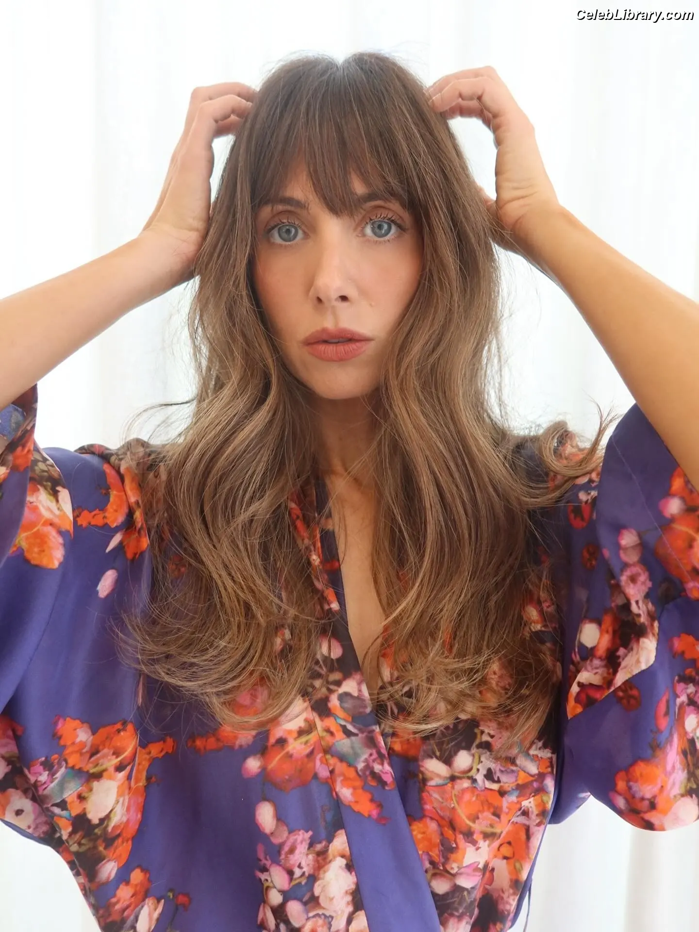 Alison Brie photo 1 of 1528