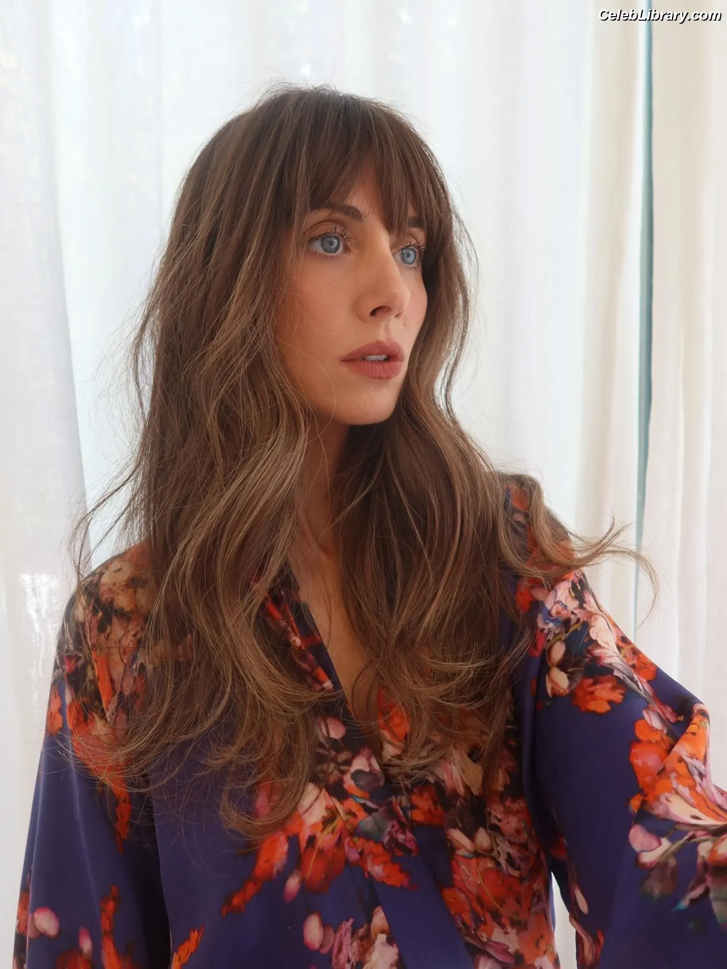 Alison Brie photo 2 of 1528