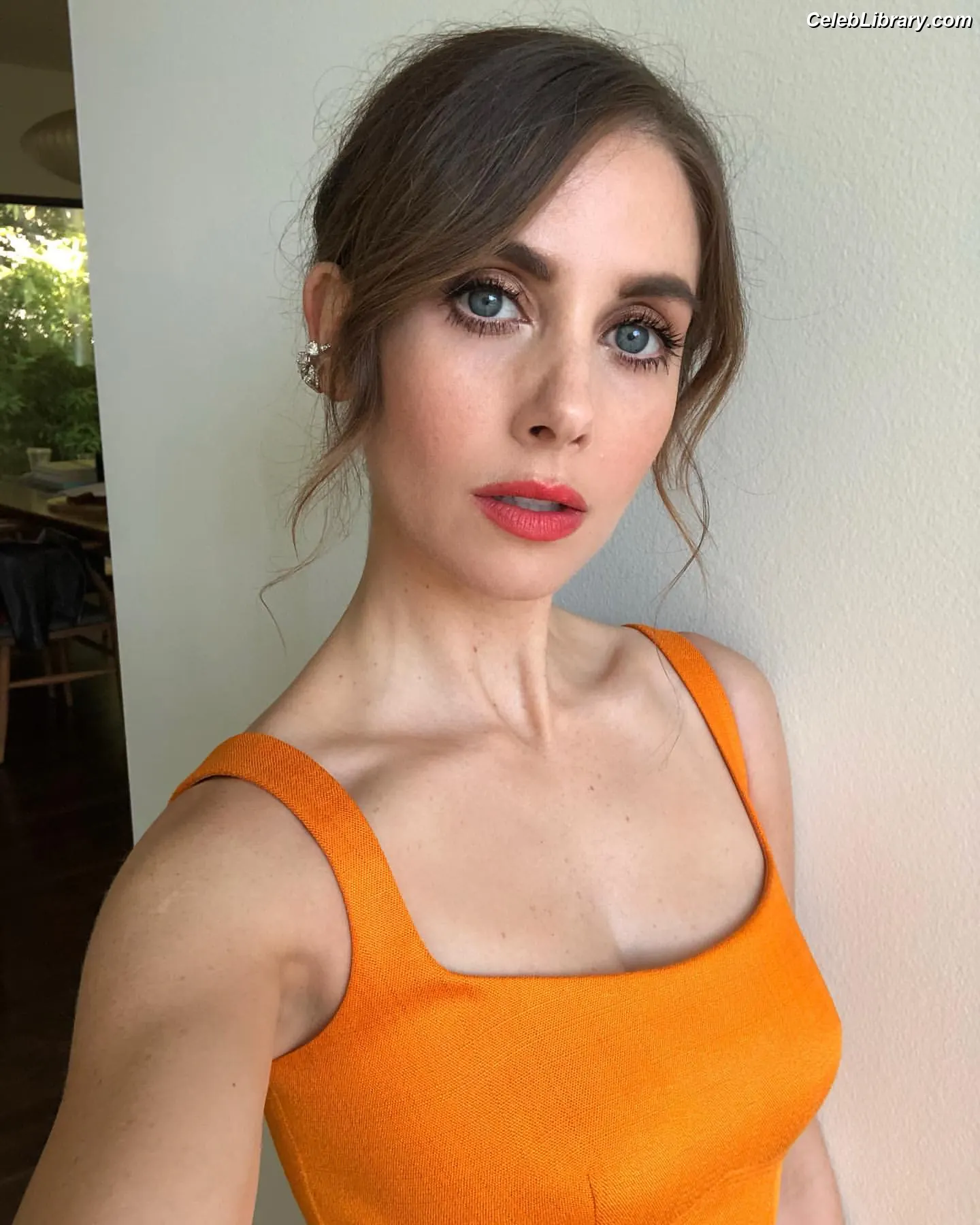 Alison Brie photo 5 of 1528