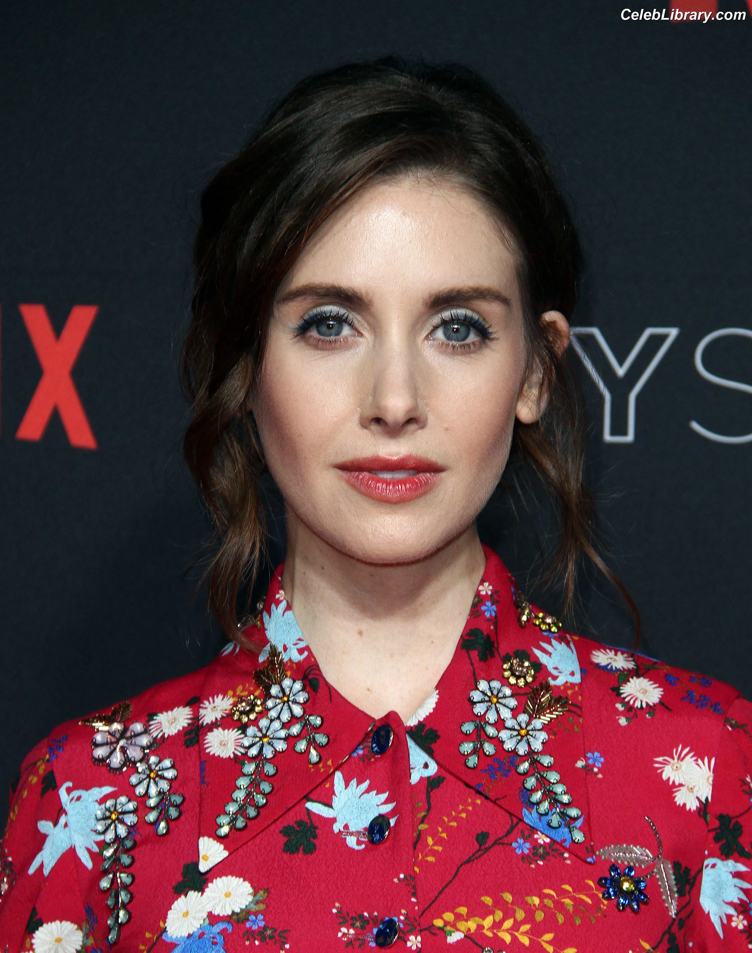 Alison Brie photo 16 of 1528