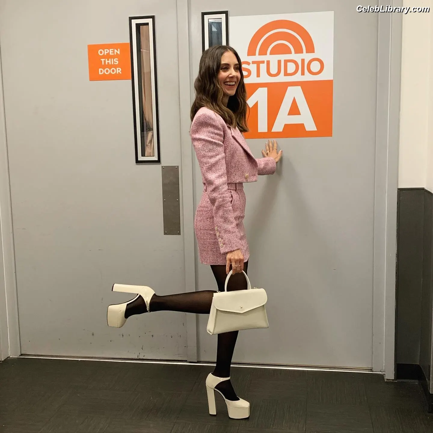 Alison Brie photo 6 of 1528
