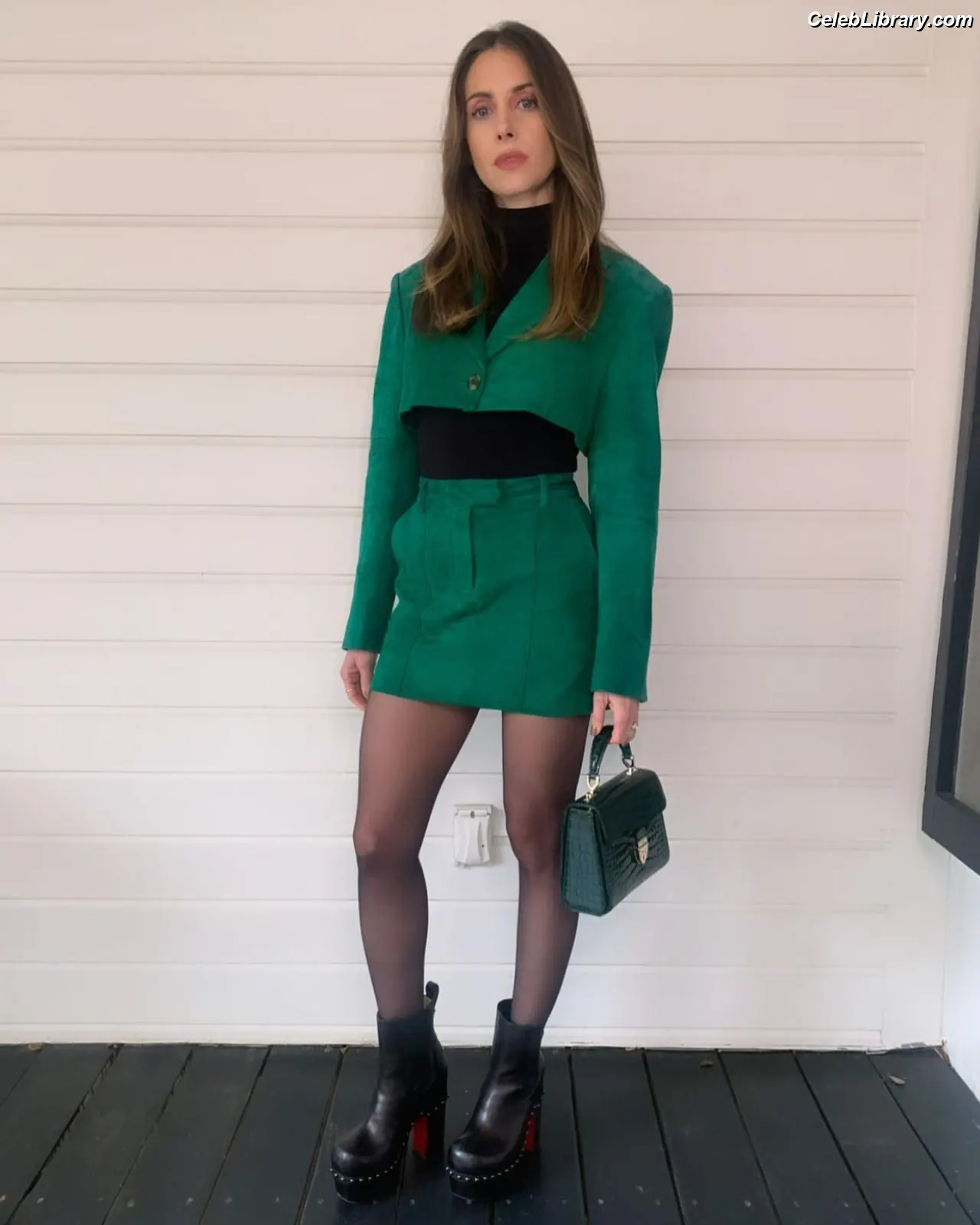 Alison Brie photo 4 of 1528