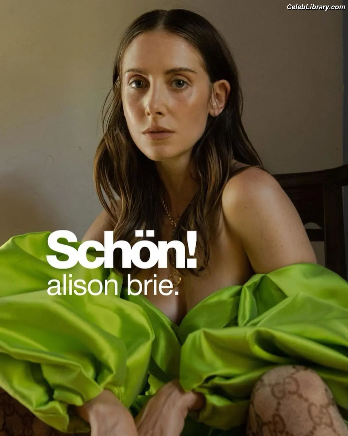 Alison Brie photo 8 of 1528