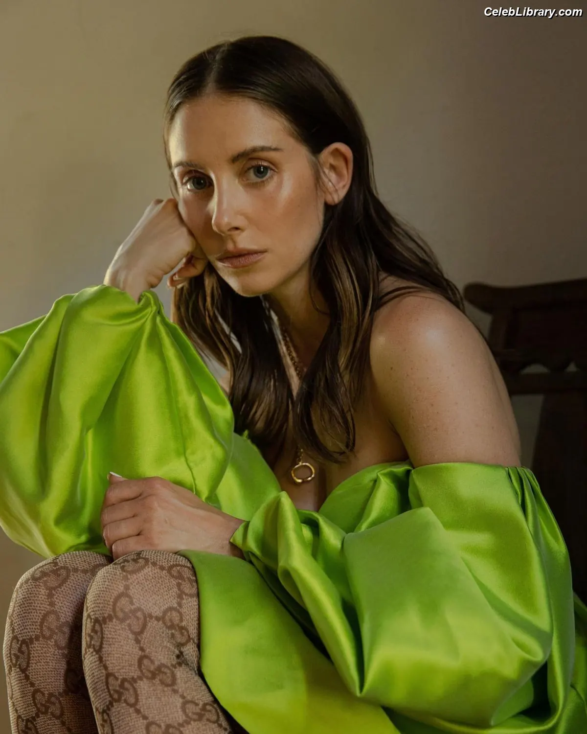Alison Brie photo 13 of 1528