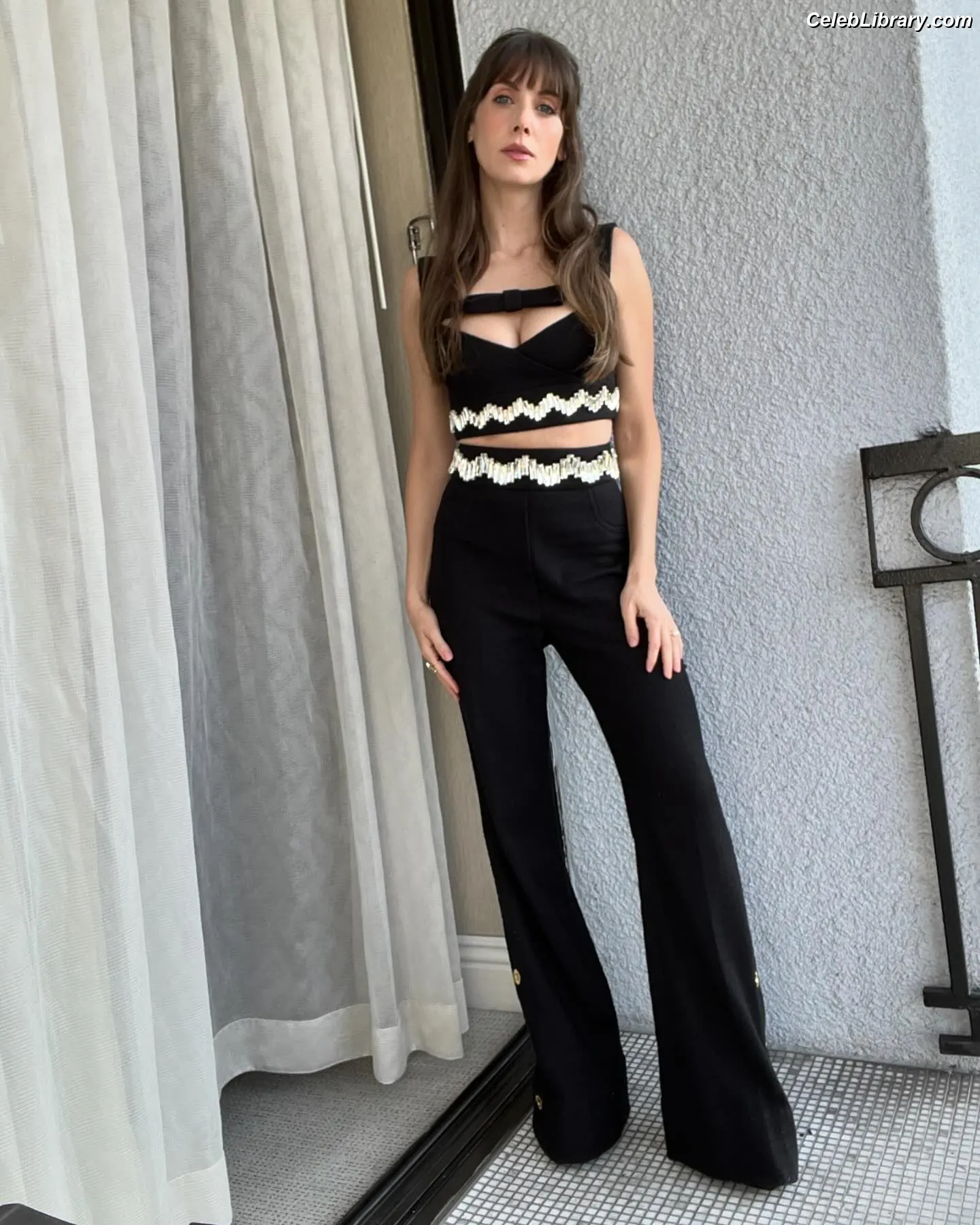 Alison Brie photo 15 of 1528