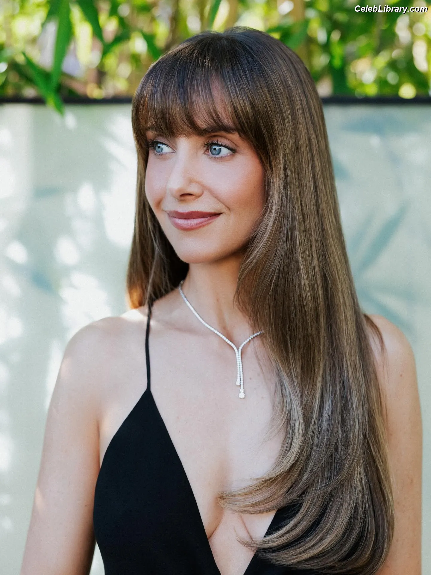 Alison Brie photo 18 of 1528