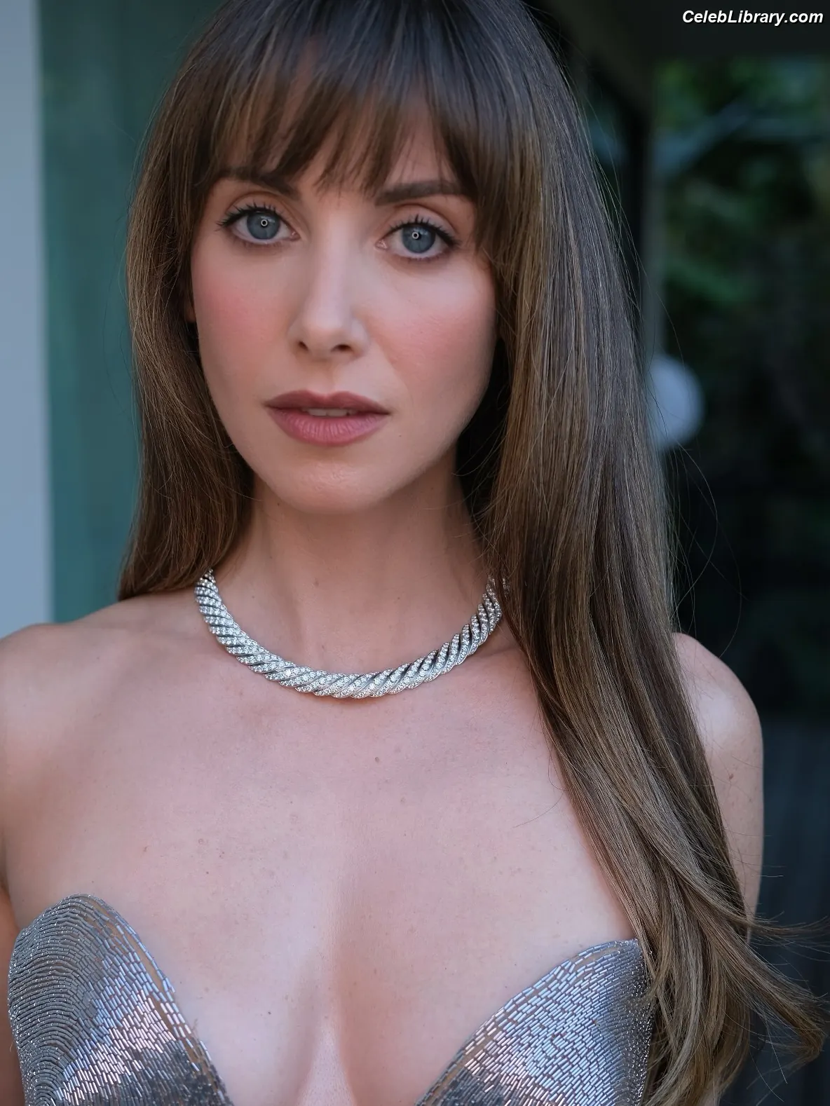 Alison Brie photo 23 of 1528