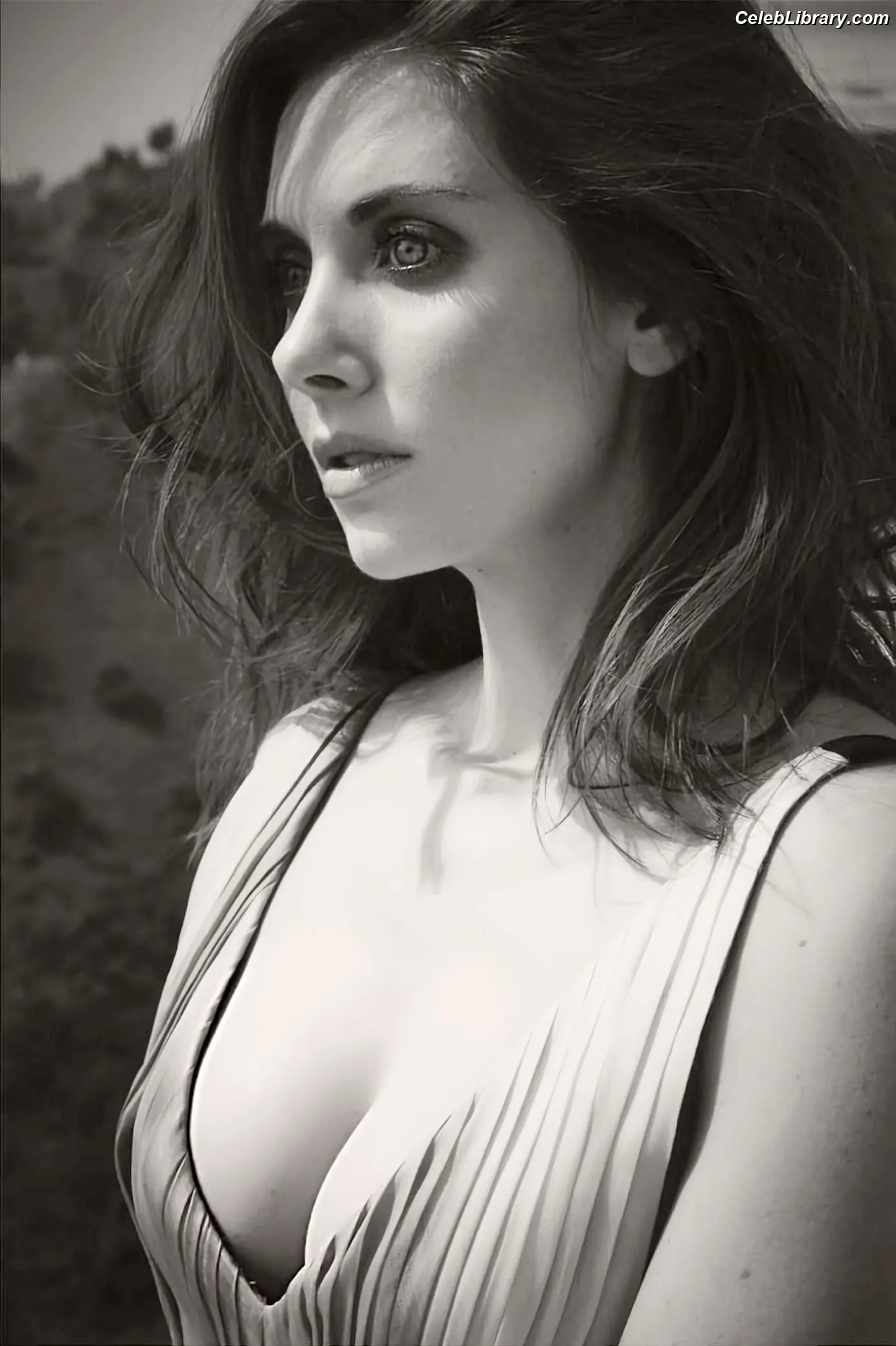 Alison Brie photo 20 of 1528
