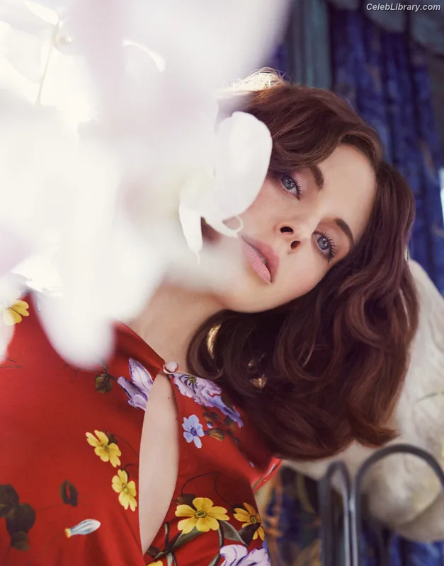 Alison Brie photo 4 of 1528