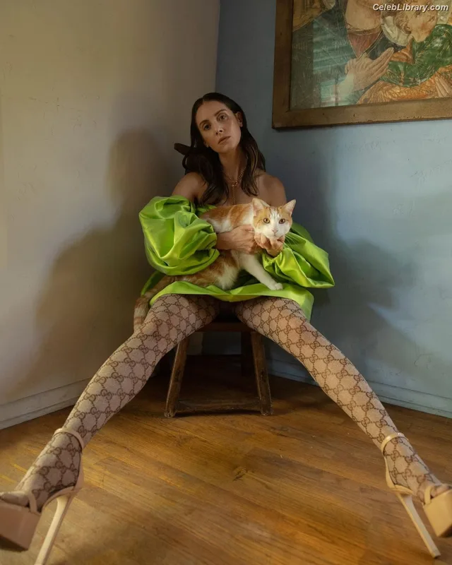 Alison Brie photo 7 of 1528