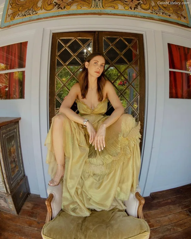 Alison Brie photo 10 of 1528