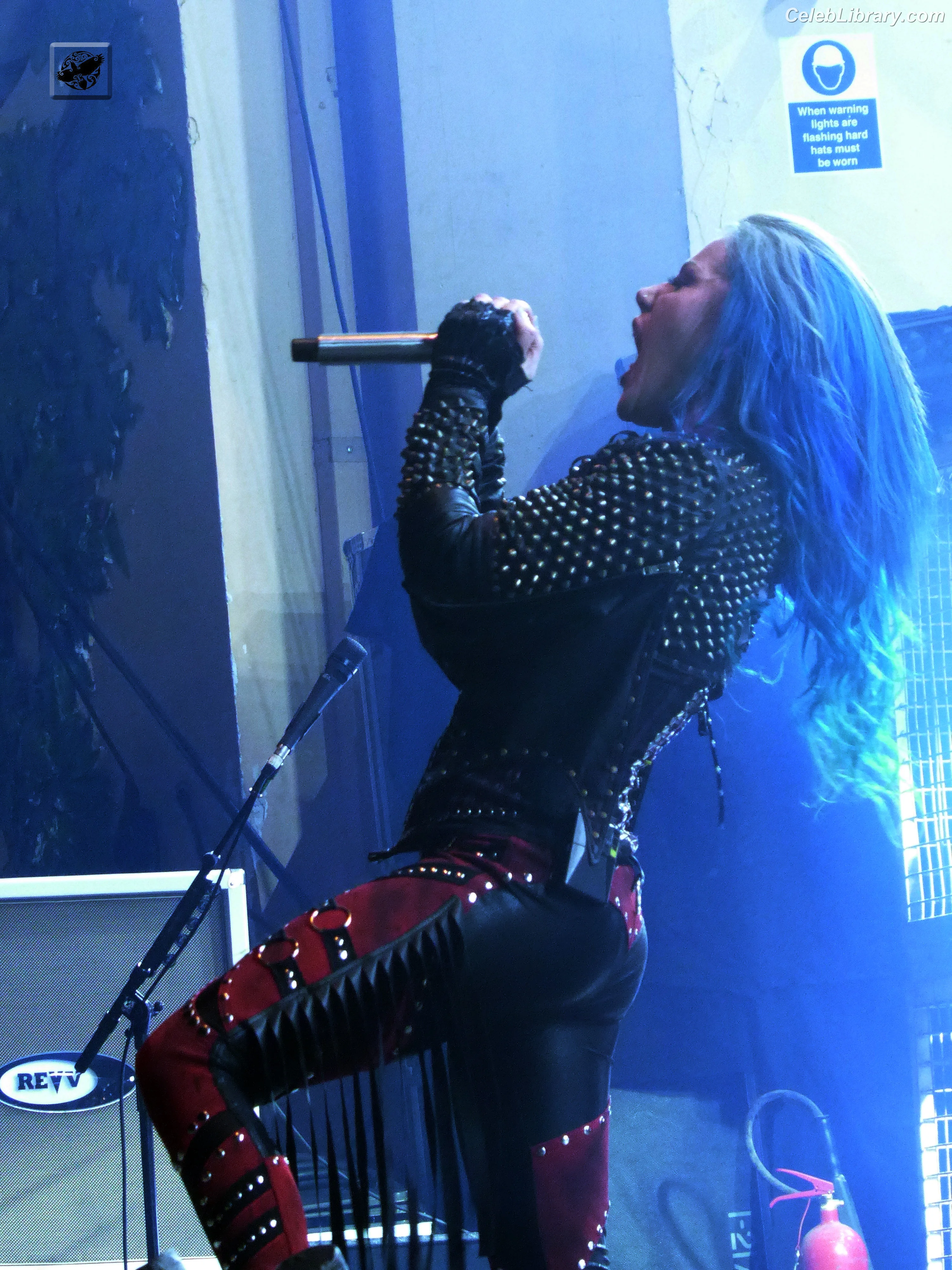 Alissa White-Gluz photo 16 of 1540