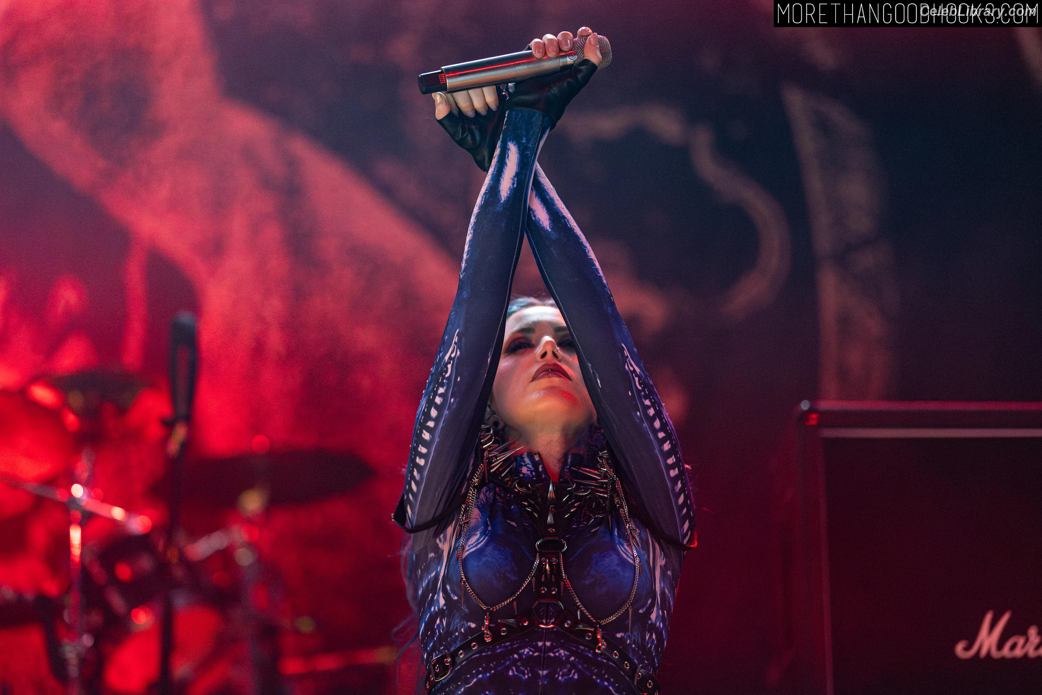 Alissa White-Gluz photo 13 of 1540