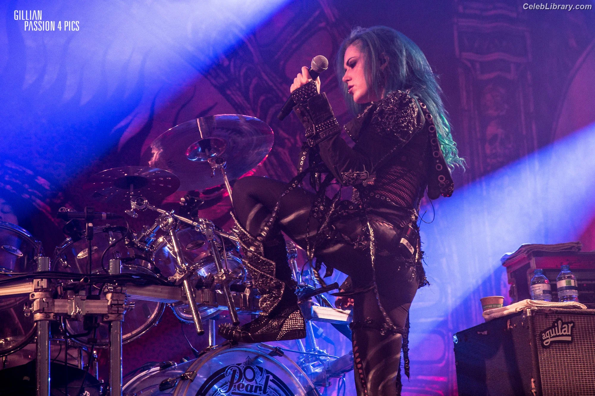 Alissa White-Gluz photo 19 of 1540
