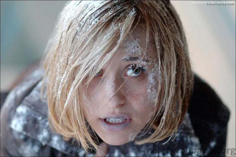 Allison Mack photo 13 of 71