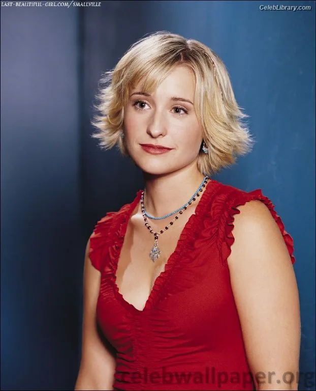 Allison Mack photo 19 of 71