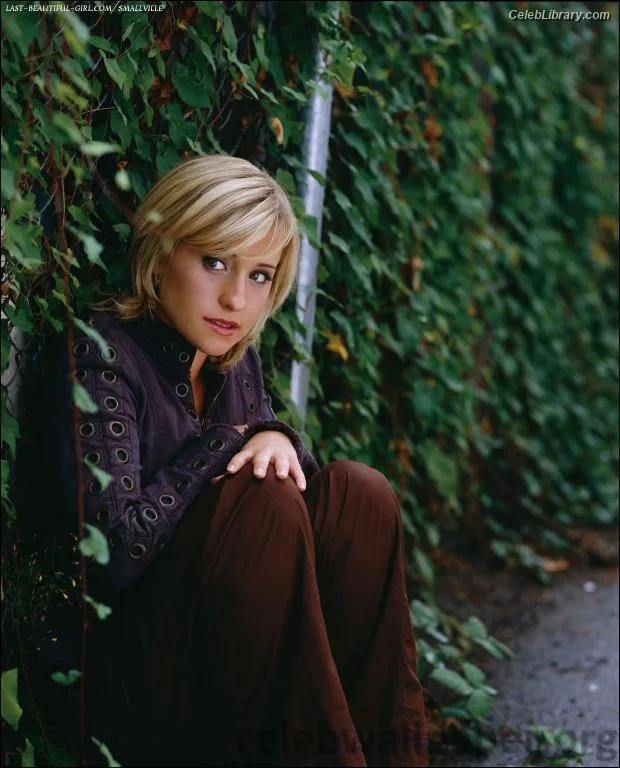 Allison Mack photo 1 of 71