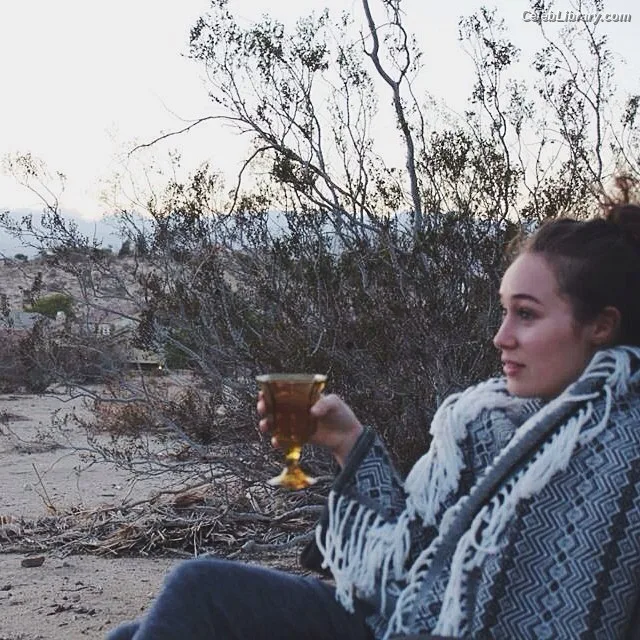 Alycia Debnam Carey photo 5 of 1336