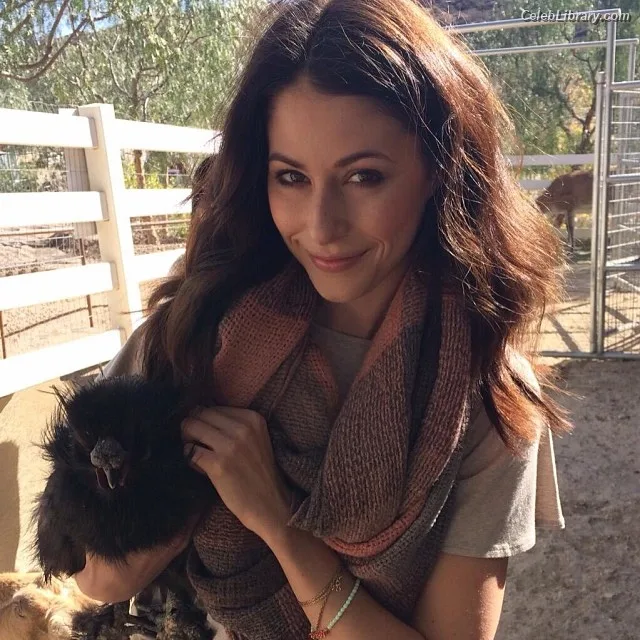 Amanda Crew photo 15 of 64