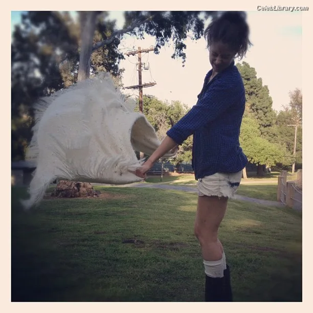 Amanda Crew photo 2 of 64