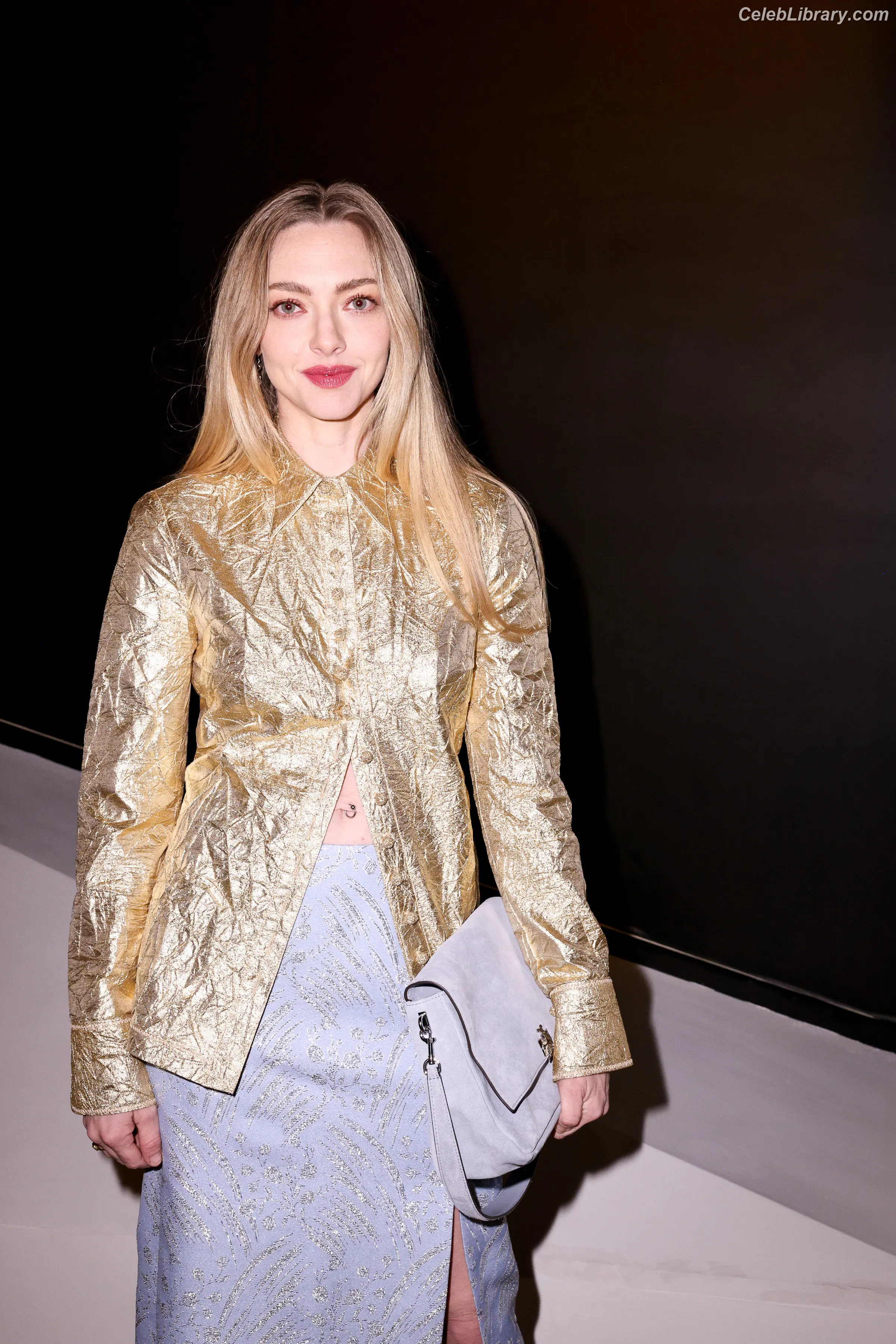 Amanda Seyfried photo 3 of 571