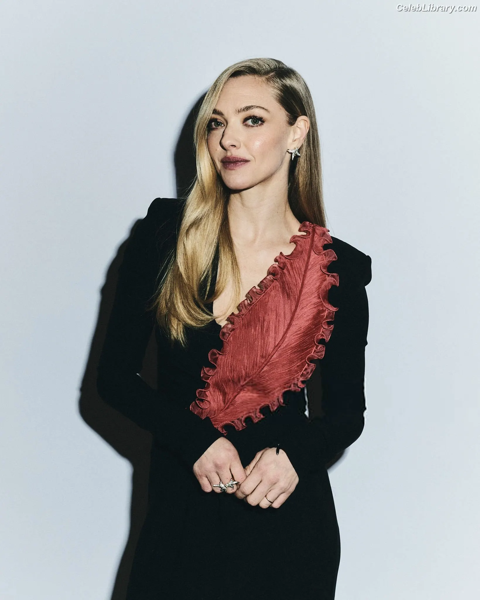 Amanda Seyfried photo 5 of 571