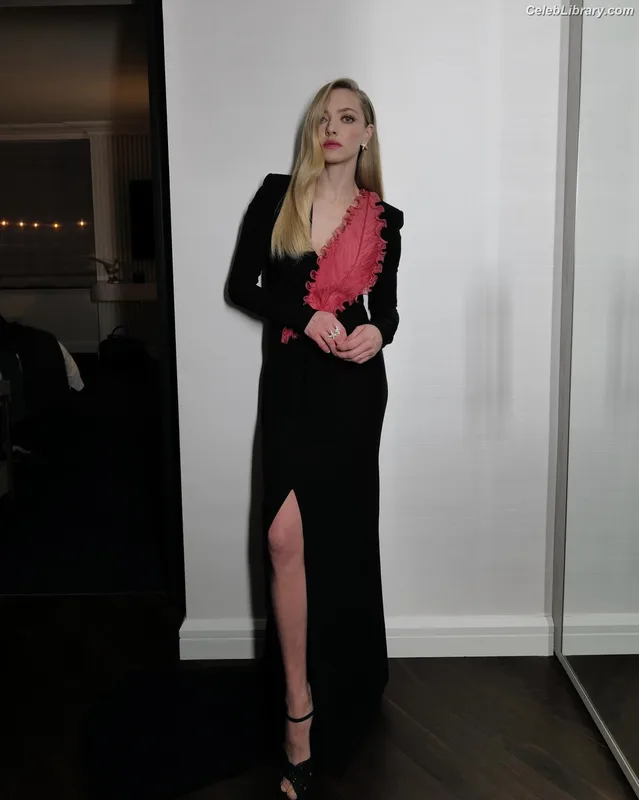 Amanda Seyfried photo 23 of 1296