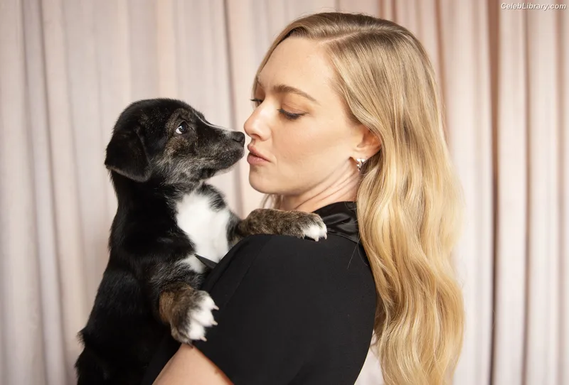 Amanda Seyfried photo 17 of 1296